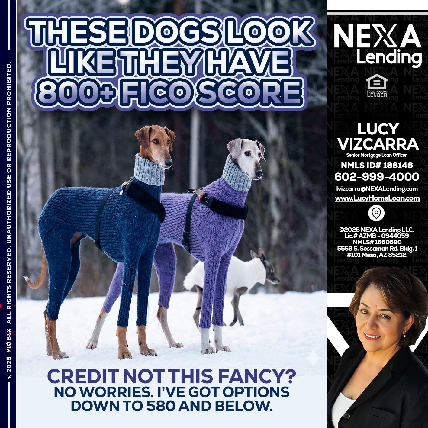THESE DOGS LOOK - Lucy Vizcarra -Mortgage Loan Officer